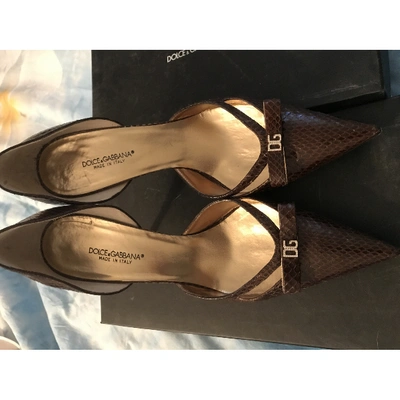 Pre-owned Dolce & Gabbana Brown Python Heels
