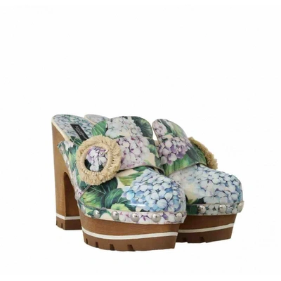 Pre-owned Dolce & Gabbana Green Cloth Mules & Clogs