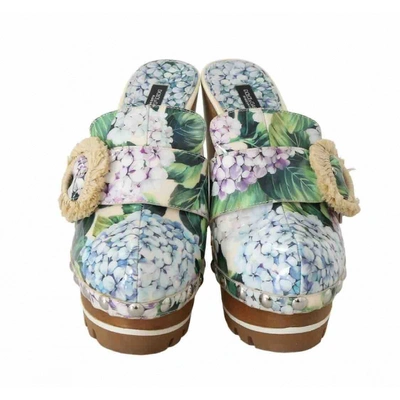 Pre-owned Dolce & Gabbana Green Cloth Mules & Clogs