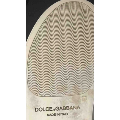 Pre-owned Dolce & Gabbana Cloth Espadrilles In Multicolour