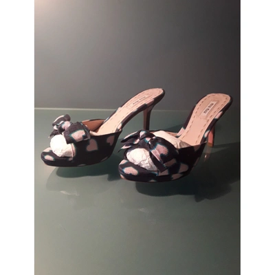 Pre-owned Miu Miu Cloth Mules In Multicolour