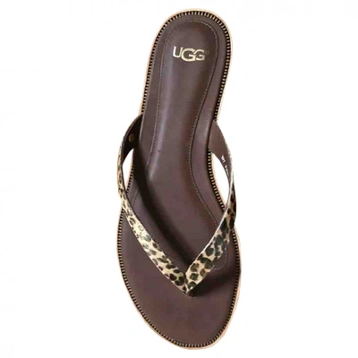 Pre-owned Ugg Flip Flops In Brown