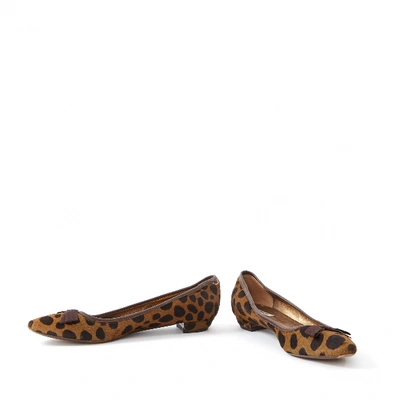 Pre-owned Miu Miu Pony-style Calfskin Ballet Flats In Brown