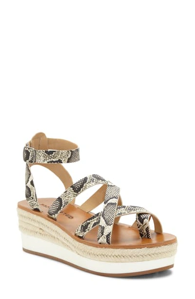 Shop Lucky Brand Jakina Platform Wedge Sandal In Snake Print Leather