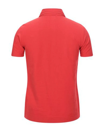 Shop Cruciani Polo Shirts In Red