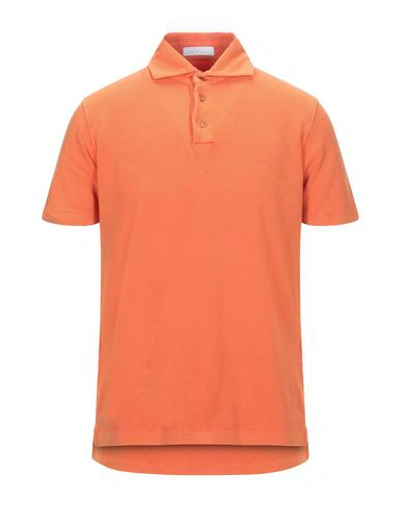 Shop Cruciani Polo Shirts In Orange