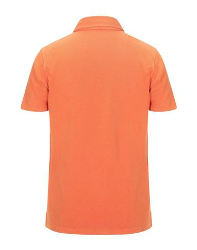 Shop Cruciani Polo Shirts In Orange