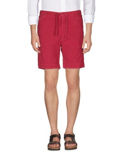 Shop East Harbour Surplus Man Shorts & Bermuda Shorts Red Size 34 Cotton, Elastane