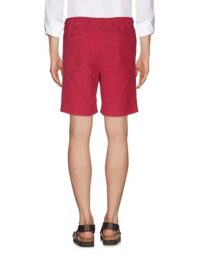 Shop East Harbour Surplus Man Shorts & Bermuda Shorts Red Size 34 Cotton, Elastane