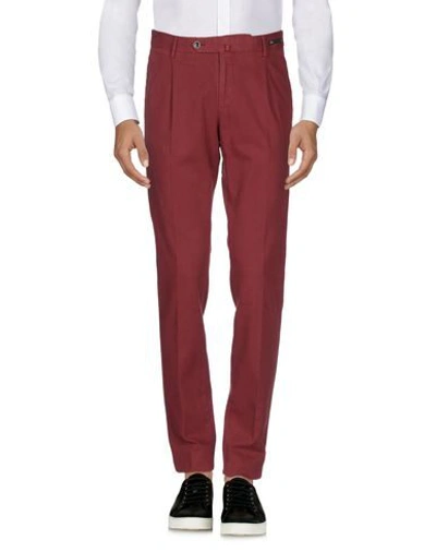Shop Pt01 Pt Torino Man Pants Burgundy Size 30 Cotton, Elastane In Red