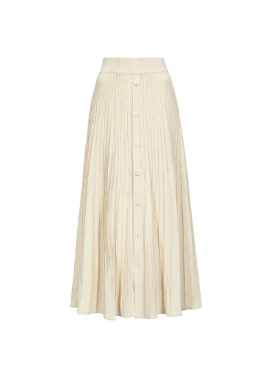 Shop Pinko Maxi Pleated Skirt In Bianco