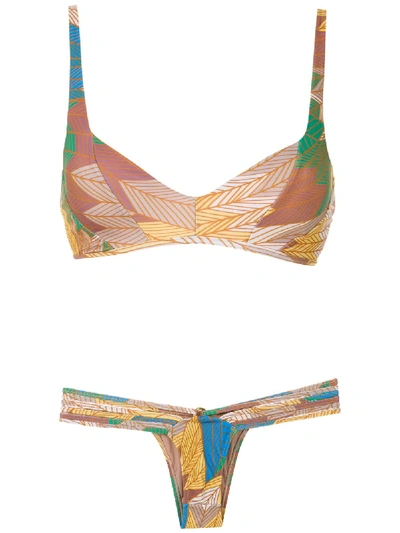 Shop Amir Slama Cocar Francês Printed Bikini Set In Multicolour