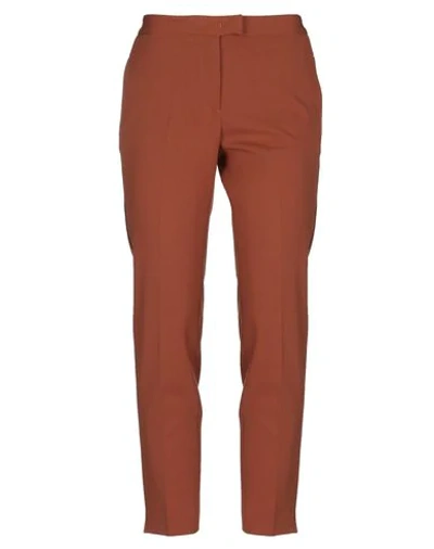 Shop Brag-wette Woman Pants Brown Size 6 Polyester, Virgin Wool, Elastane