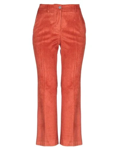 Shop Slowear Incotex Woman Pants Orange Size 8 Cotton, Viscose, Elastane