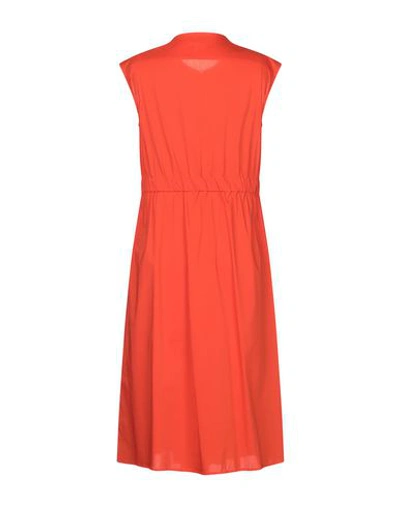 Shop Aalto Midi Dresses In Orange
