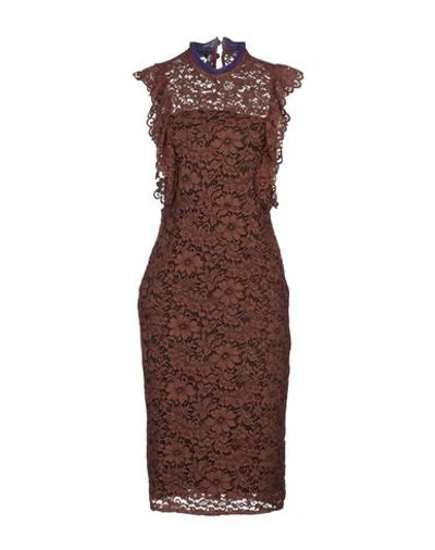 Shop Hanita Woman Midi Dress Brown Size M Viscose, Cotton, Nylon, Elastane