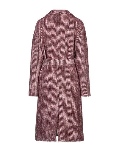 Shop Semicouture Coats In Maroon