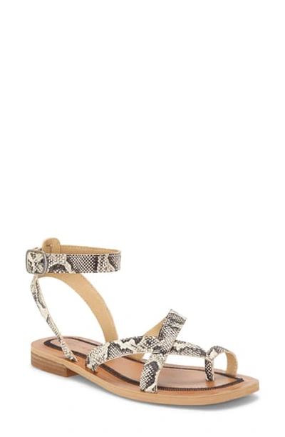 Shop Lucky Brand Avonna Sandal In Snake Print Leather