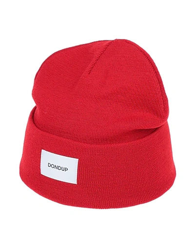 Shop Dondup Hat In Red