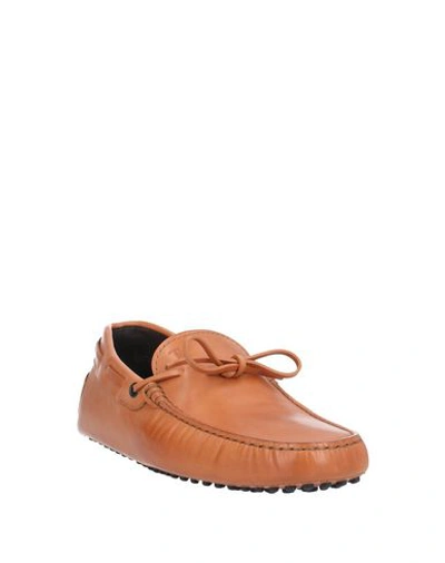 Tod's Loafers In Brown