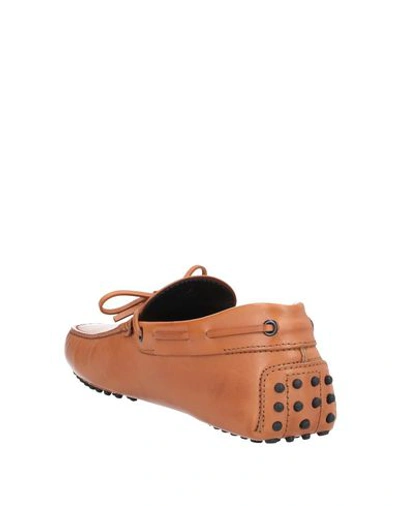 Tod's Loafers In Brown