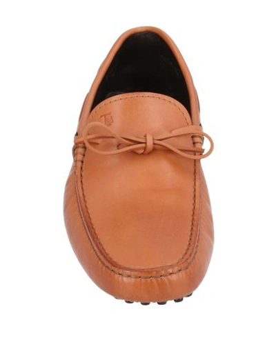 Tod's Loafers In Brown