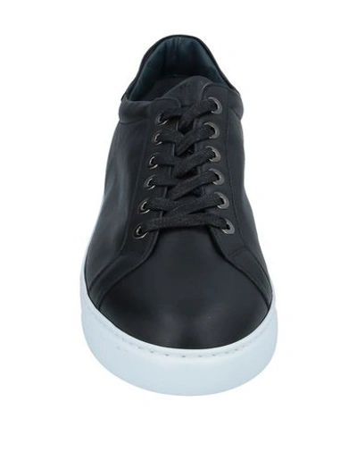 Shop Andrea Zori Sneakers In Black