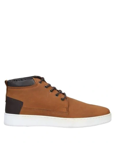 Shop Cafènoir Man Sneakers Tan Size 9 Soft Leather In Brown