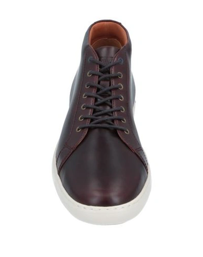Fitflop Sneakers In Brown