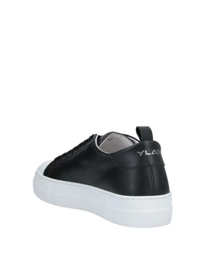 Shop Ylati Sneakers In Black