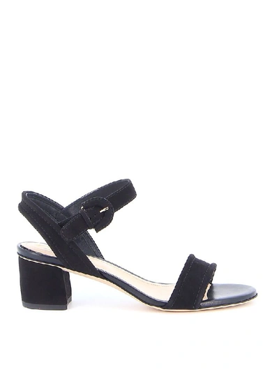 Shop Tod's Women's Black Suede Sandals