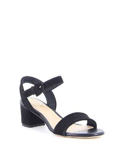 Shop Tod's Women's Black Suede Sandals