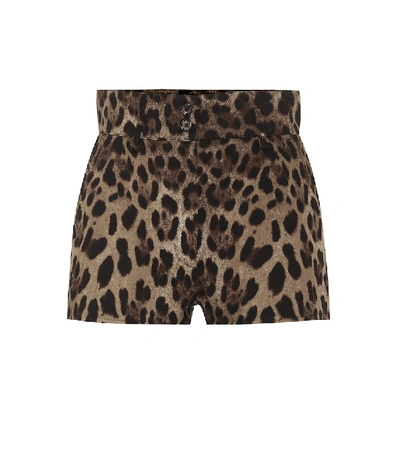 Shop Dolce & Gabbana Leopard Stretch-cotton Shorts In Multicoloured