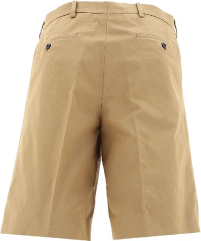 Shop Prada Brown Shorts