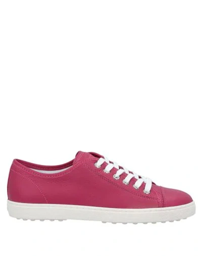 Shop Tod's Sneakers In Mauve