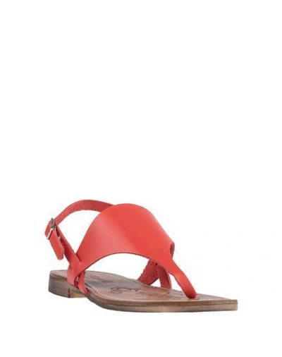 Shop Cantarelli Toe Strap Sandals In Red