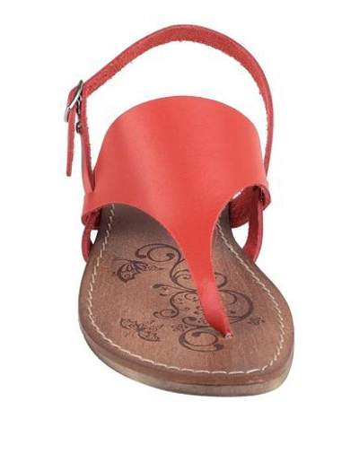 Shop Cantarelli Toe Strap Sandals In Red