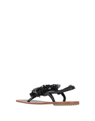 Shop Pokemaoke Toe Strap Sandals In Black