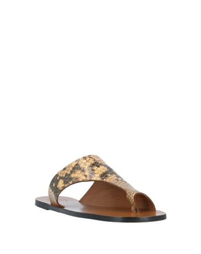 Shop Atp Atelier Toe Strap Sandals In Tan