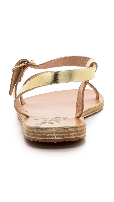 Shop Ancient Greek Sandals Niove Sandals In Platinum