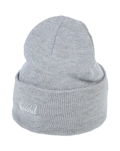 Shop Herschel Supply Co Hat In Light Grey