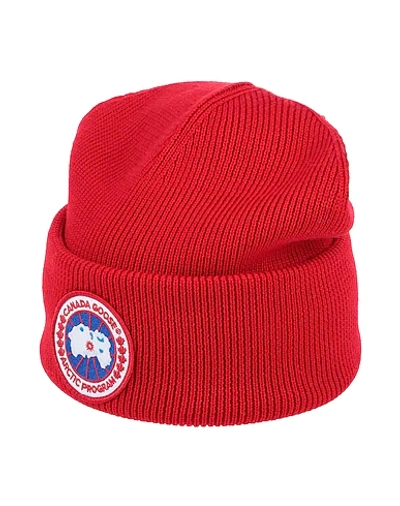 Shop Canada Goose Hat In Red