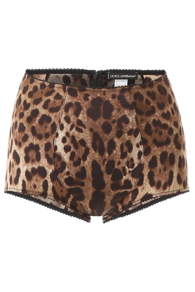 Shop Dolce & Gabbana Docle & Gabbana Underwear Leopard Print High In Brown