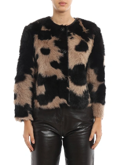 Shop Max Mara Weekend  Eletta Fur Jacket In Multi