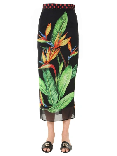 Shop Dolce & Gabbana Bird Of Paradise Skirt In Multi