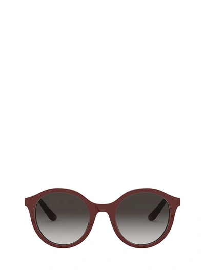 Shop Dolce & Gabbana Eyewear Boston Sunglasses In Multi