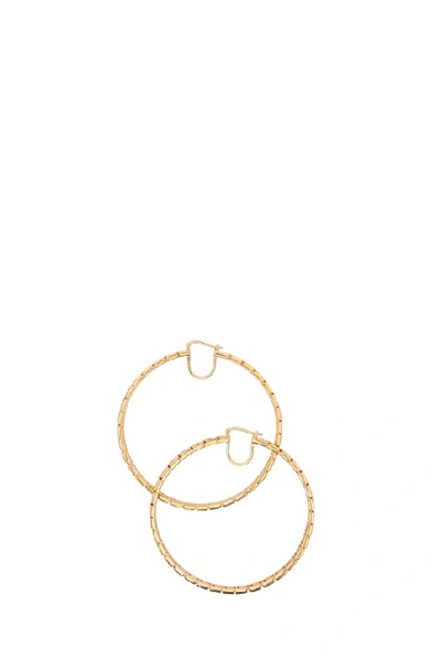 Shop Versace Hoop Earrings In Gold