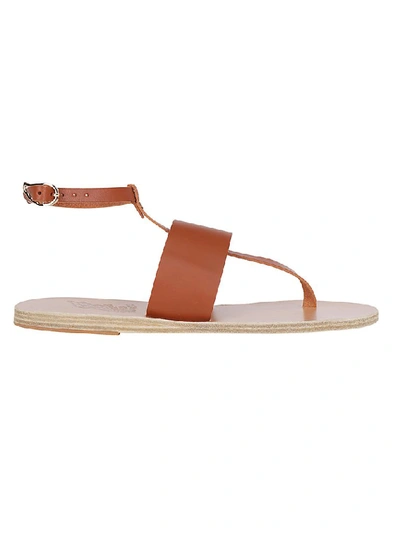 Shop Ancient Greek Sandals Ancient Greece Sandals Lysi Sandals In Brown