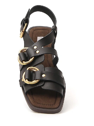 Shop Stella Mccartney Buckled Strap Sandals In Black