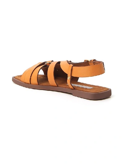 Shop Stella Mccartney Buckled Strap Sandals In Brown